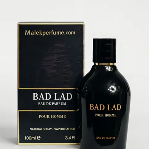 عطر ادکلن مردانه کارولینا هررا بد بوی فراگرنس ورد بد لد ۱۰۰ میل (Fragrance World Carolina Herrera Bad Boy)