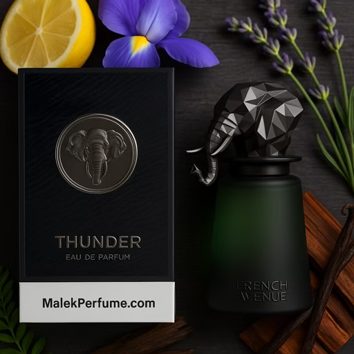 ادکلن تندر فرنچ اونیو Thunder French Avenue حجم 100 میل | رایحه The Omniscient Mister Thompso