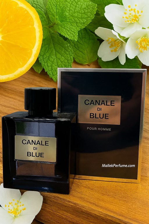 ادو پرفیوم مردانه بلو شنل فراگرنس ورد مدل Canale Di Blue حجم 100 میلی‌لیتر | Fragrance World Canale Di Blue
