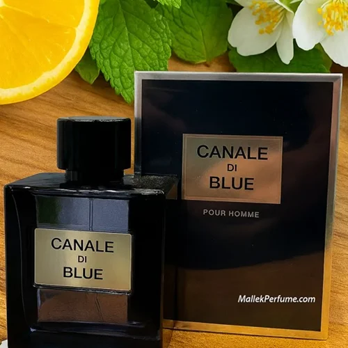 ادو پرفیوم مردانه بلو شنل فراگرنس ورد مدل Canale Di Blue حجم 100 میلیلیتر | Fragrance World Canale Di Blue