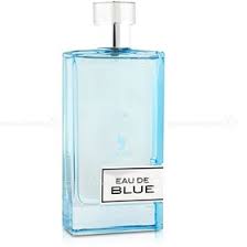 ادکلن ادو بلو ولار 100 میل | Eau De Blue Volare (مشابه اجمل بلو)