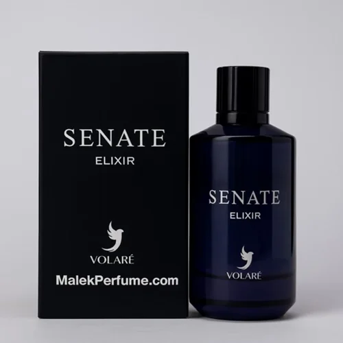ادکلن سنات ولار 100 میل | Volare Senate | رایحه دیور ساواج الکسیر