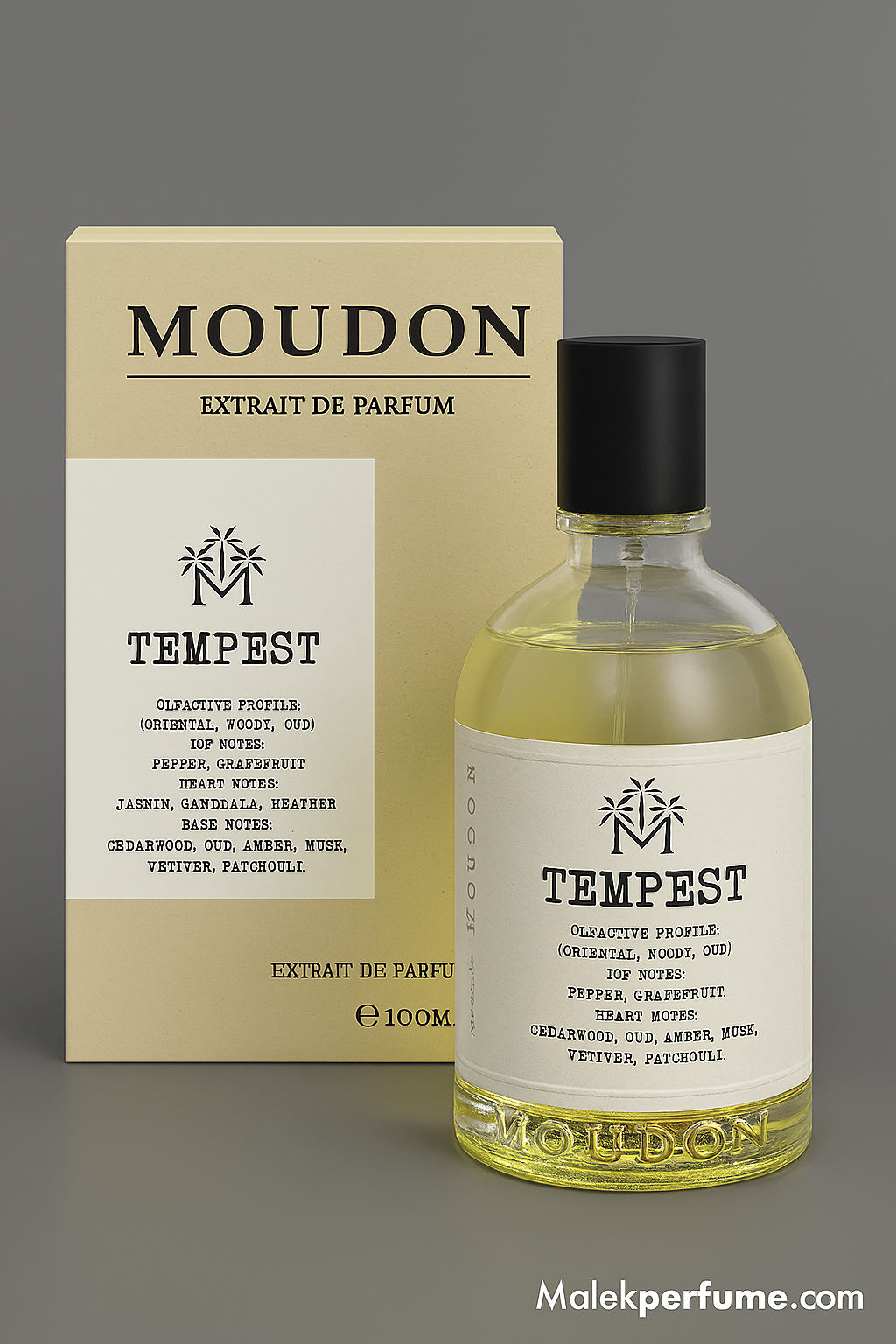 اکسترا ادو پرفیوم اسپرت مودون مدل TEMPEST حجم 100 میل