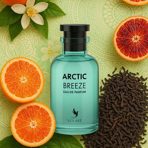 ادکلن ارکتیک بریز ولار 100 میل | Arctic Breeze Volare مشابه لویی و ایمجینیشن